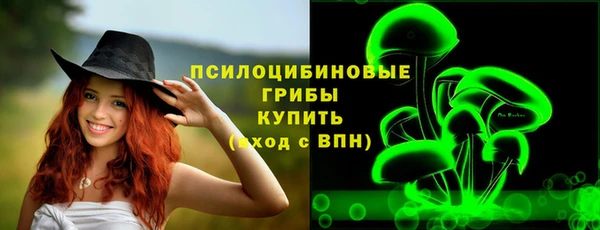 ПСИЛОЦИБИНОВЫЕ ГРИБЫ Нефтекумск