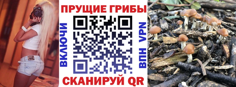 Галлюциногенные грибы Magic Shrooms  Плёс 